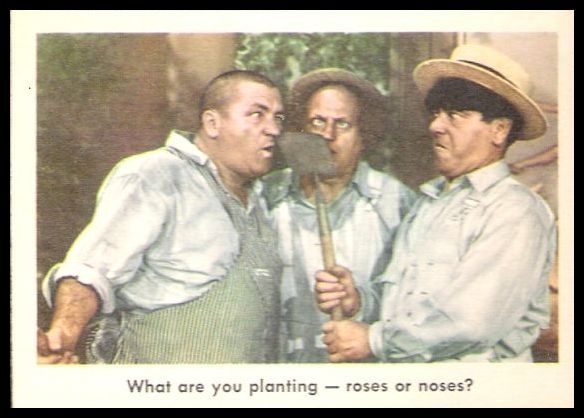 59F3S 69 What Are You Planting Roses Or Noses.jpg